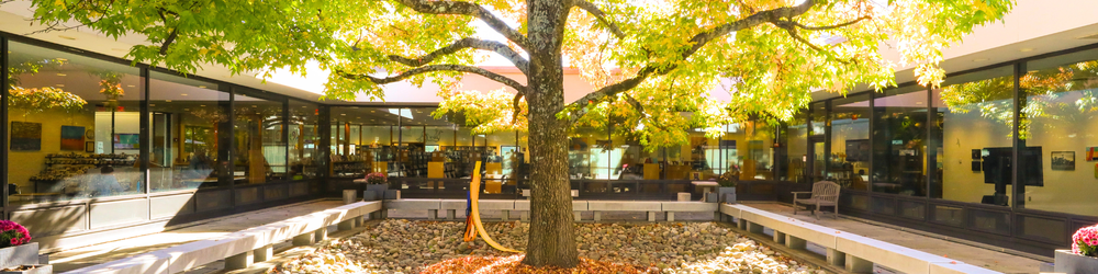 2025 FALL APPEAL Homepage.png