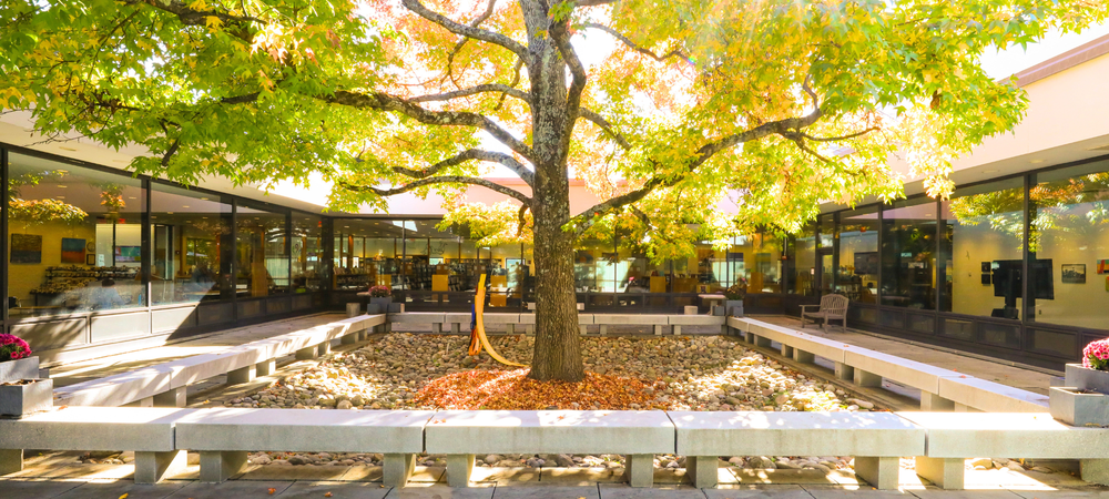 2025 FALL APPEAL Homepage.png