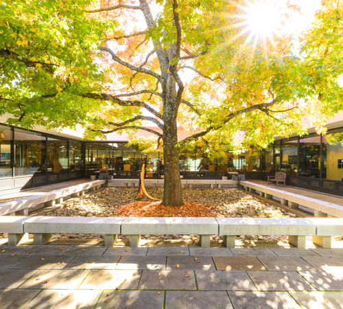 2025 FALL APPEAL Homepage.png