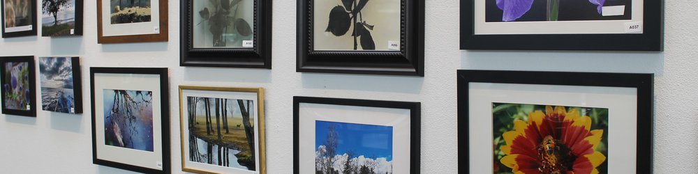 Focus23ExhibitIMG_1217.JPG