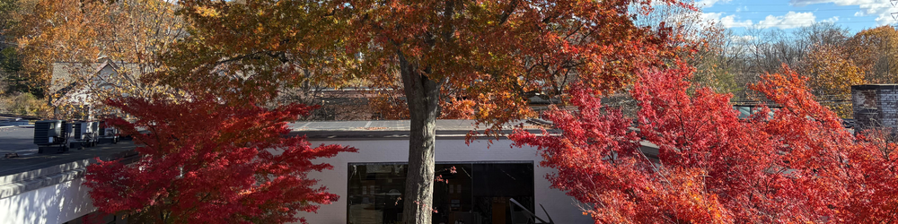 Reference courtyard.png