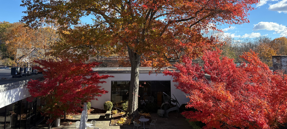 Reference courtyard.png