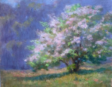 Reitzfeld Tree-in-Blossom.jpg