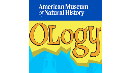 ology.png
